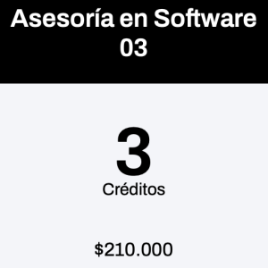 Asesoría en Software 3