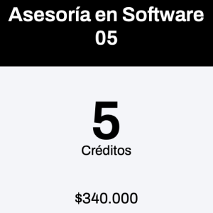 Asesoría en Software 5